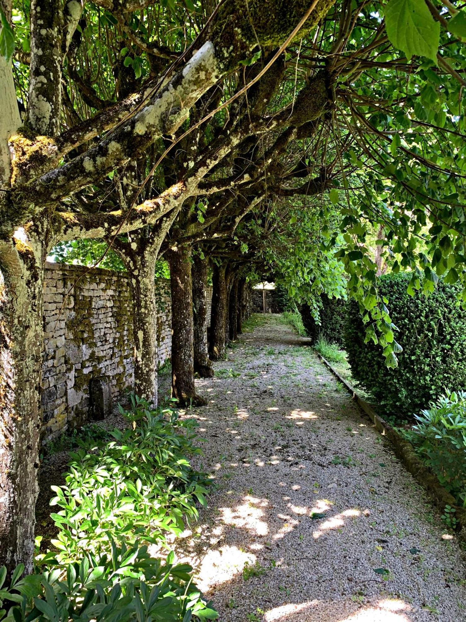 Le Clos Du Marronnier Rivieres-les-Fosses Eksteriør billede